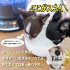 動物用飲用水でマウスケア！【アニマルウォーター３】動物病院も利用中！動物用飲用水生成器。ペットの歯磨き。口臭ケア。
