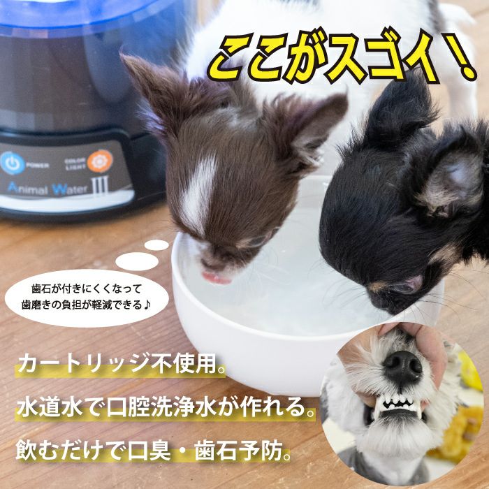 動物用飲用水でマウスケア！【アニマルウォーター３】動物病院も利用中！動物用飲用水生成器。ペットの歯磨き。口臭ケア。
